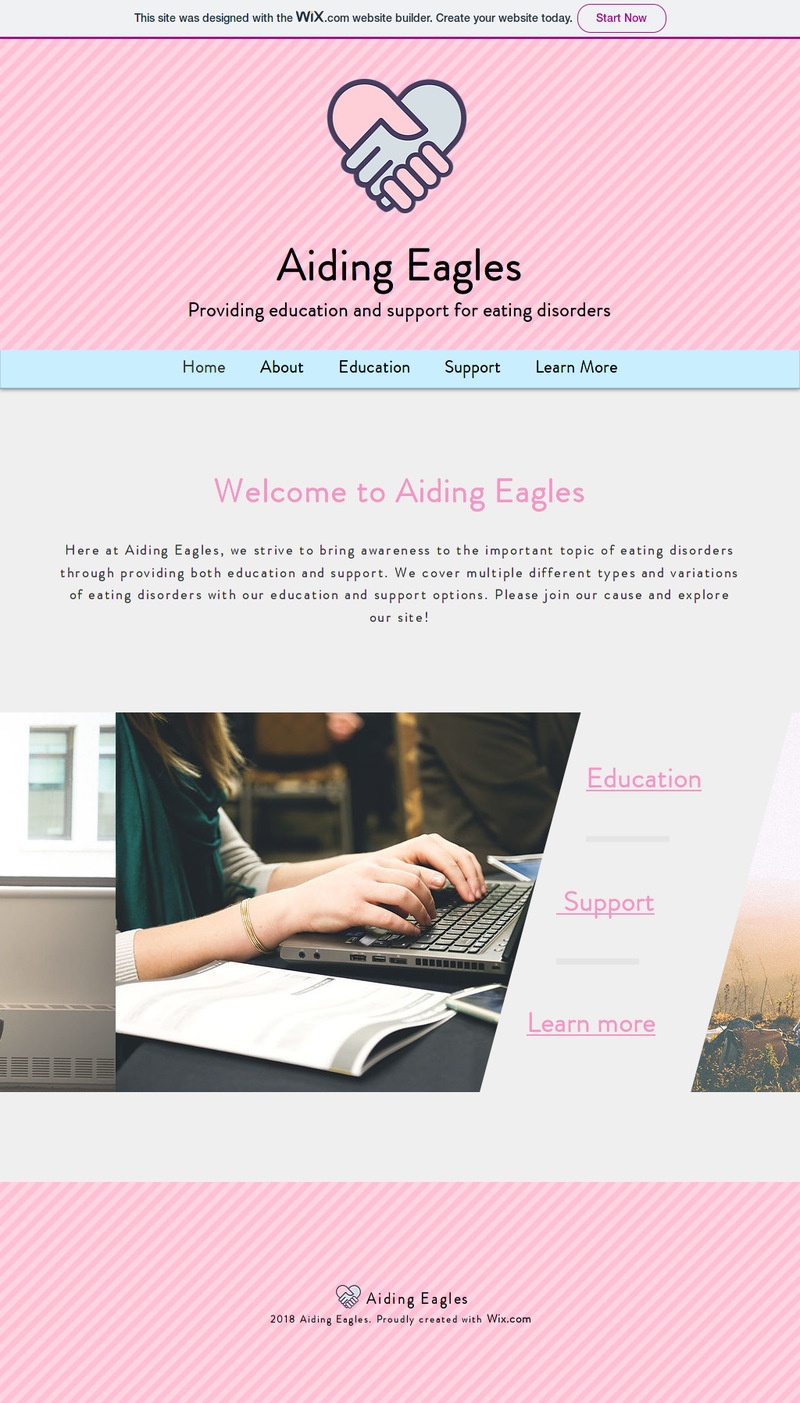A Screenshot of https://valarimer.wixsite.com/aidingeagles